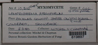 Image Associated With the Occurence
